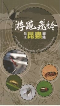 游黽飛蛉 台江昆蟲圖鑑