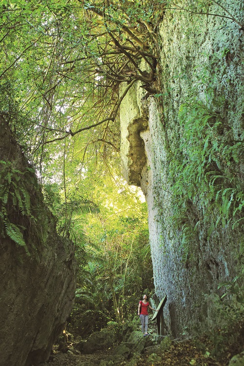 壽山印象生態攝影營