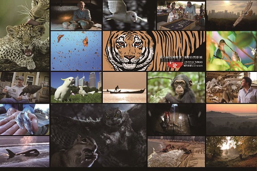 第6 屆台灣野望國際自然影展