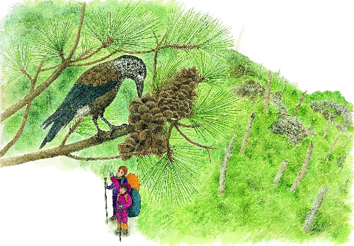 《琪琪登玉山》內頁