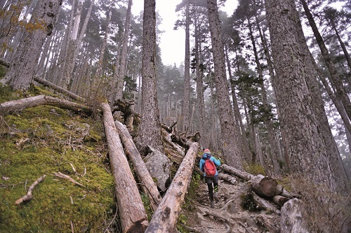 Climates at mountains are different front the plain, and cause different physiological load. / Hsiao-Lu Ho