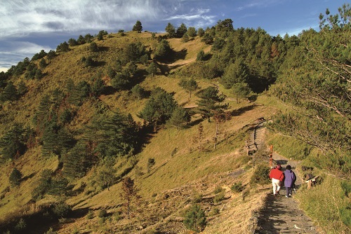 The general level or landscape trails, flat and with good secure facilities, are suitable for the public. (Hiking Trail in Tataka Recreation Area) /Hsiao-Lu Ho