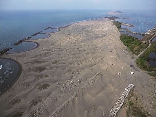 Spring at Dingtoue sandbar / Fei-Tong Shen (provided by Taijiang National Park Headquarters)