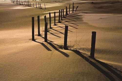 Taijiang National Park has beautiful sandbar landscapes / Han-Long Liu (provided by Taijiang National Park Headquarters) 