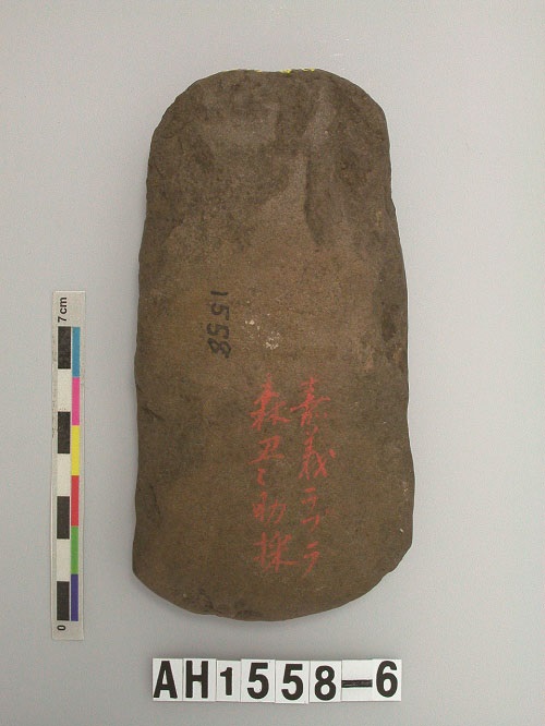 知母(月勞)社遺址中型半磨半打製石斧(今嘉義縣阿里山鄉達邦村附近)