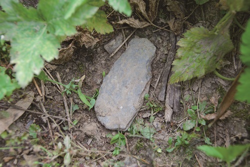 於旱地發現疑似板岩製小鋤(攝於大同舊部落)/太管處提供