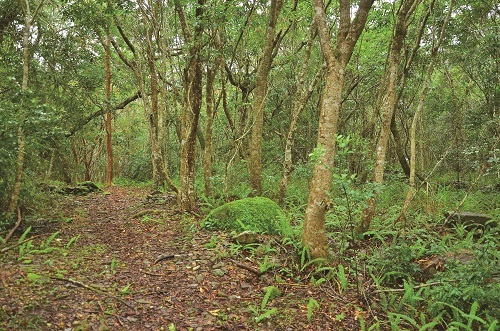 陀優恩部落舊址/太管處提供