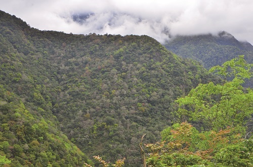遠眺海鼠山/太管處提供