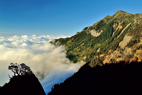 Investing in ecosystem has become the best way to enhance the resilience on climate change impacts. / Hsiao-Lu Ho