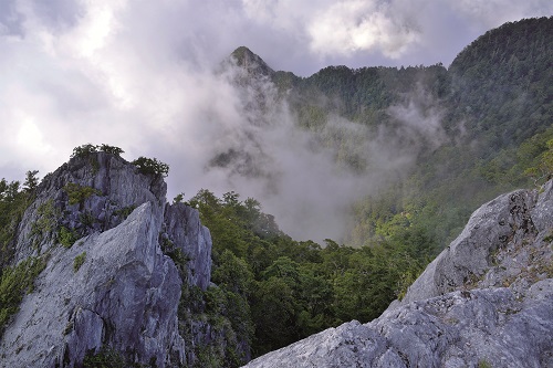 奇萊東稜／何小綠攝