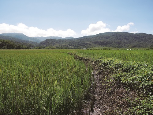 Ecosystem provides human many services, and sustains the stability of social and cultural development. / Hui-Ying Lui