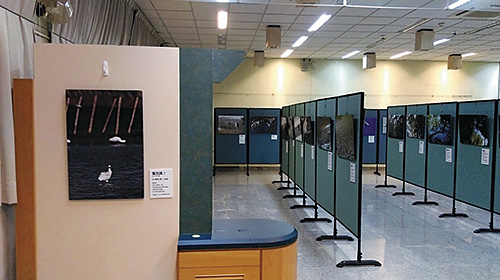 「心動台江─ 生態篇」攝影作品展 「心動台江─ 人文篇」攝影作品展