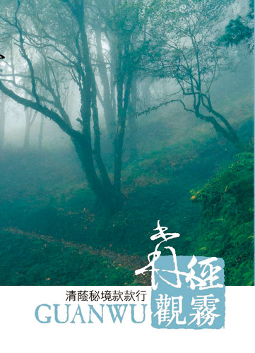 森徑觀霧 清蔭秘境款款行