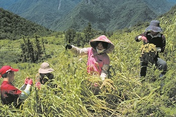 The environmental management wisdom of people who lives in and around the
protected area, is indispensable to the fight against global environmental change /
provided by Shei-Pa National Park Headquarters