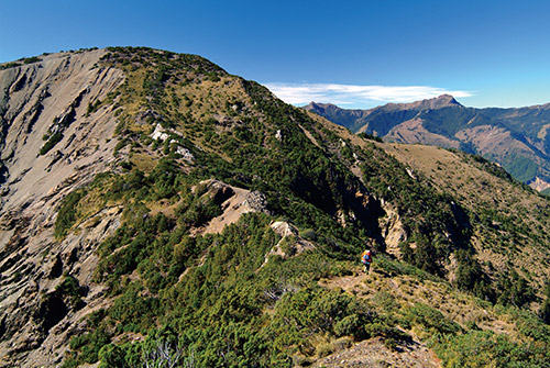 Forest conservation holds together carbon sink and carbon sequestration, which are important jobs to balance against climate change. /
Hsiao-Lu Ho