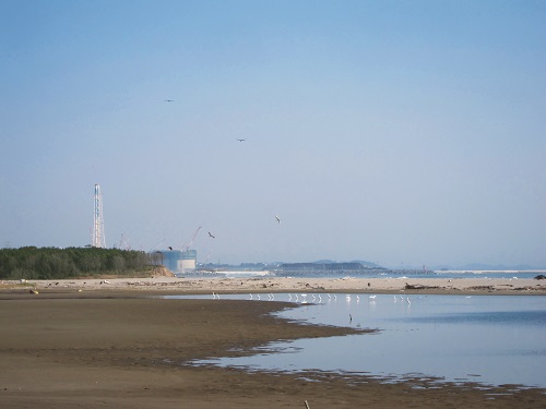 Animal protected area at Gamo Tideland near Sendai coast / photo by Pei-Ying Lee