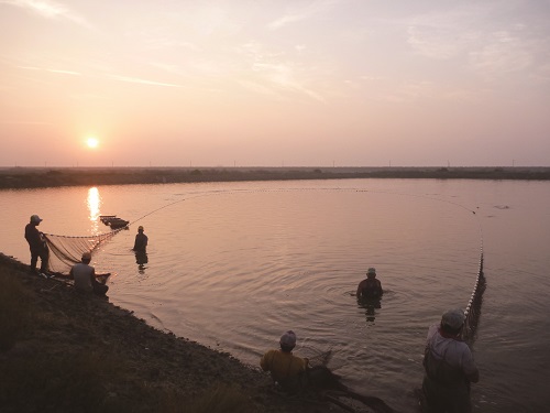 The “Wetland Conservation Act” emphasizes that utilization per the “continuing conditions” is
allowed within the borders of the Wetlands of Importance. / provided by Taijiang National Park
Headquarters
