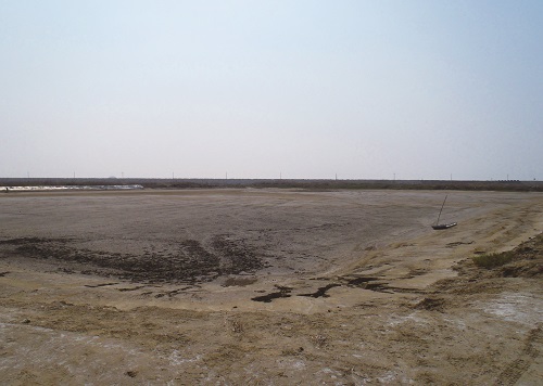 Sunning of Milkfish fish pond (with
feed); its purpose is to sterilize the
pond. / provided by Taijiang National
Park Headquarters