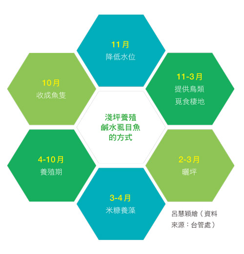 呂慧穎繪(資料來源:台管處)