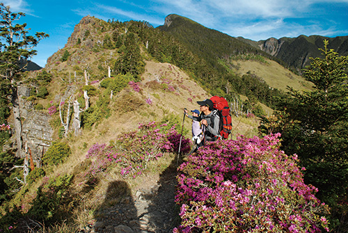For better understanding on the impact of the environment on phenology needs long term research data. / Zhen-Zhang Pan (provided by
Shei-Pa National Park)