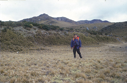 八通關玉山箭竹草原(攝於1981 年)/黃增泉提供