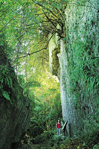 石灰岩地質經常年溶蝕形成壯觀的千年石壁