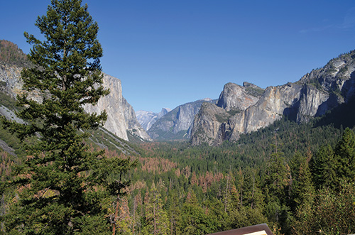 優勝美地國家公園面對全球氣候變遷的議題,包括對於森林火災的管理方式,憑藉著長期的科學調查與傳統智慧,適時進行調整措施/Mauro Sica 攝