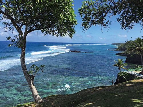 美屬薩摩亞國家公園以科學研究和地方共力的方式,積極面對沿岸的珊瑚礁因為海水暖化酸化而死亡與白化的危機/ Kev Lin 攝