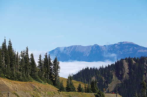 奧林匹克國家公園擁有溫帶雨林、亞高山與草原、海岸三個迥異的生態系/張簡淳攝