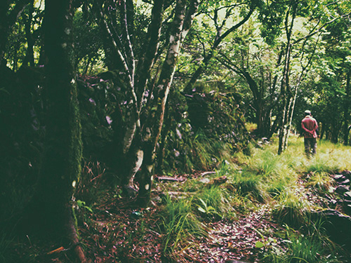 從舊大分駐在所遺址一步步走向新駐在所遺址，想像當年艱難的談判之路