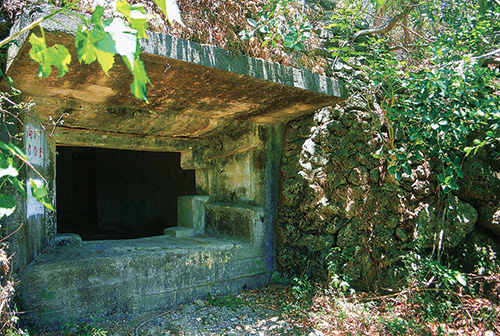 跨越半島歷史門檻-龜山行腳