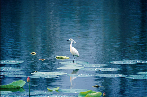 臺灣自然之美攝影展