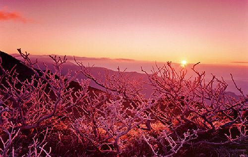 臺灣自然之美攝影展