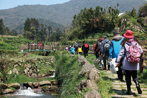 竹子湖生態之旅活動
