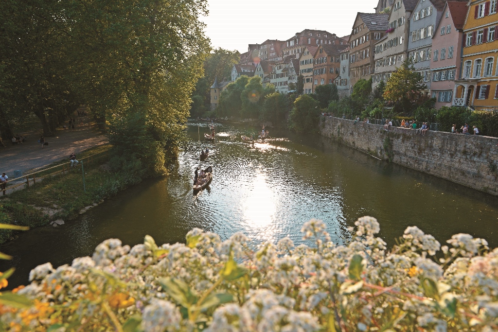 PLENUM計畫中的每個區域都有其強調的生態特色以及社經活動的重心圖為圖賓根易世為攝