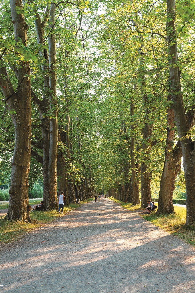 PLENUM重心在於與地方生活及經濟活動形成密切的網絡圖為圖賓根易世為攝