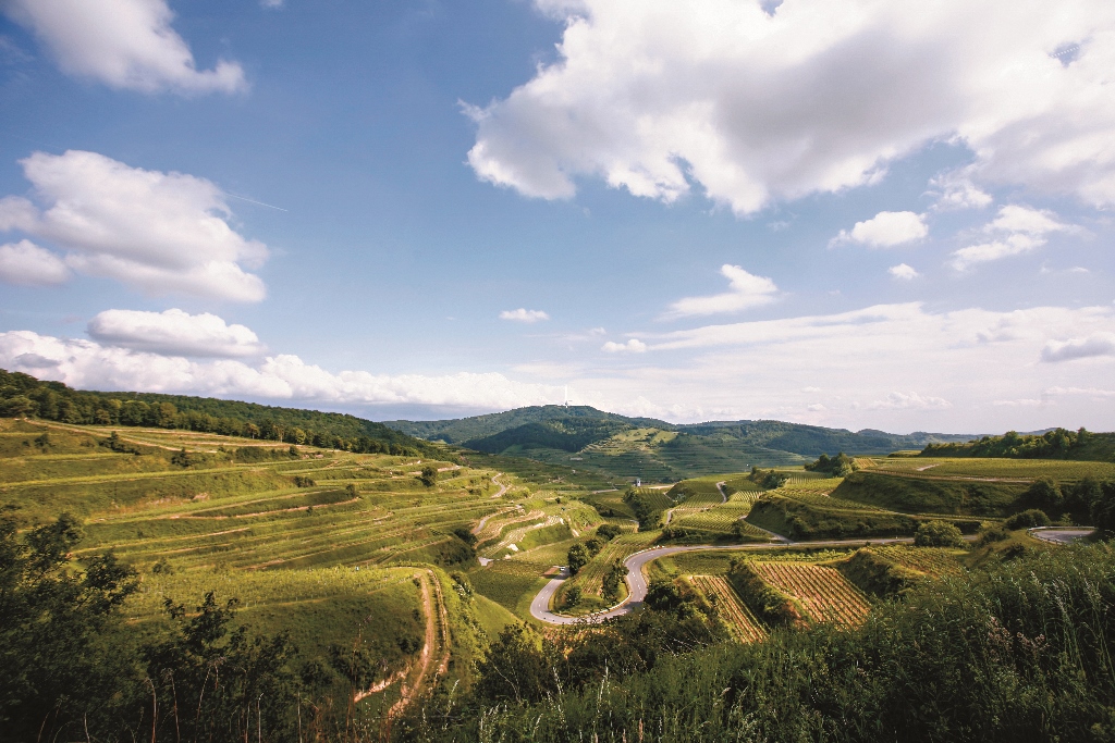 凱薩斯圖爾Kaiserstuhl是死火山地形肥沃的火山灰造就了歷史悠久的葡萄酒產業也是最早推動PLENUM計畫之一