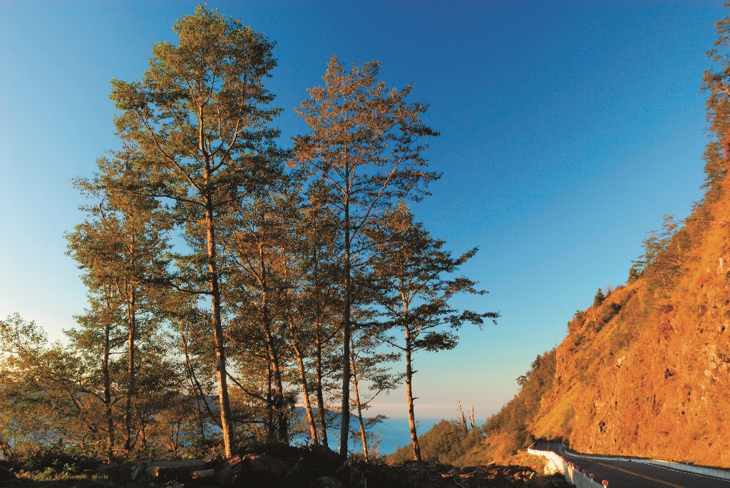 在玉管處的努力下新中橫公路最終沒有橫貫園區/何小綠攝