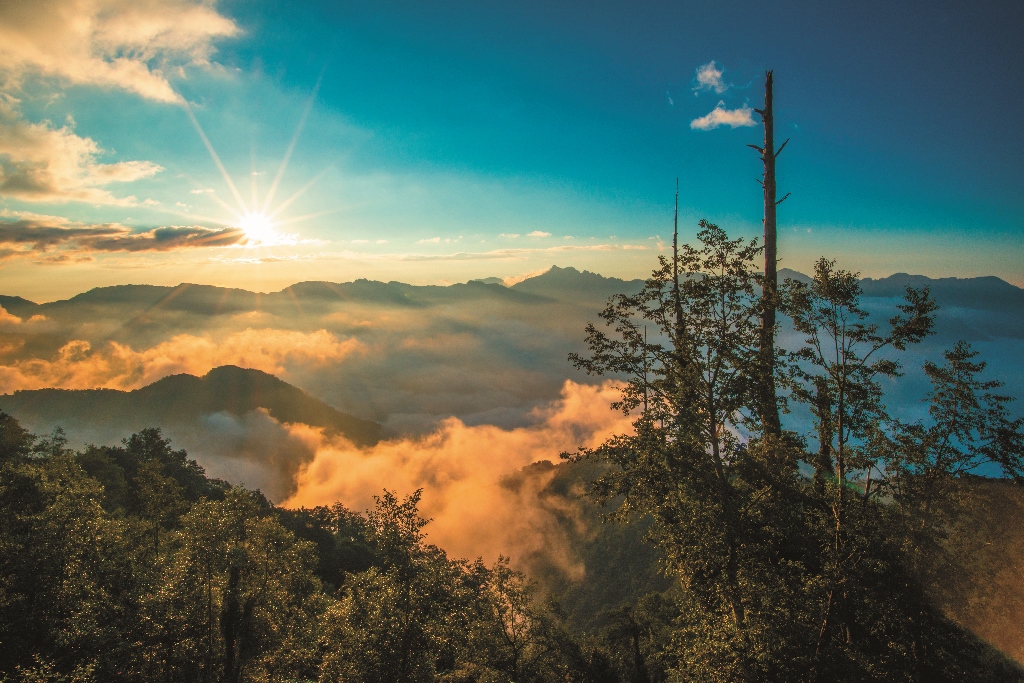 塔塔加旭日東昇何小綠攝