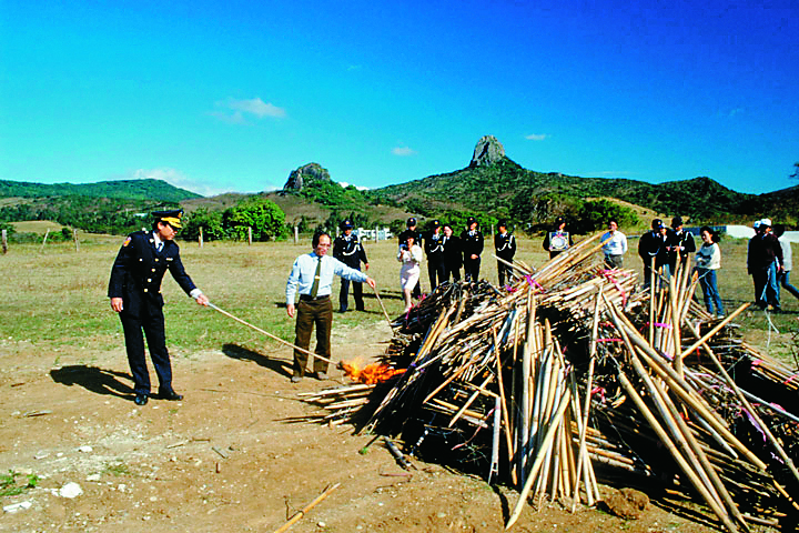 墾管處集中焚燬鳥仔1989年墾管處提供