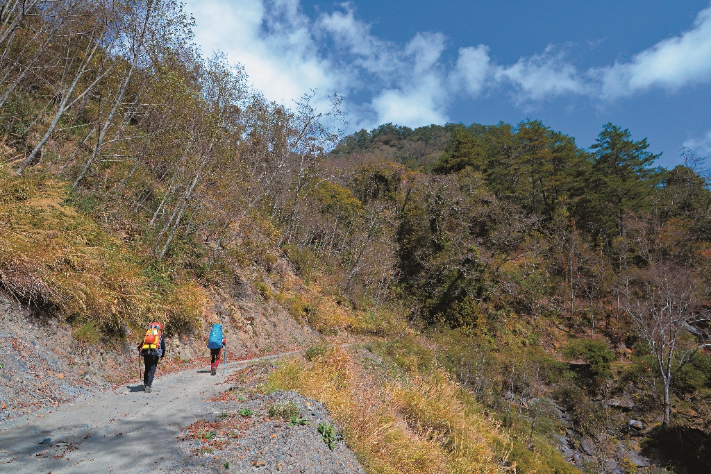 大鹿林道何小綠攝 