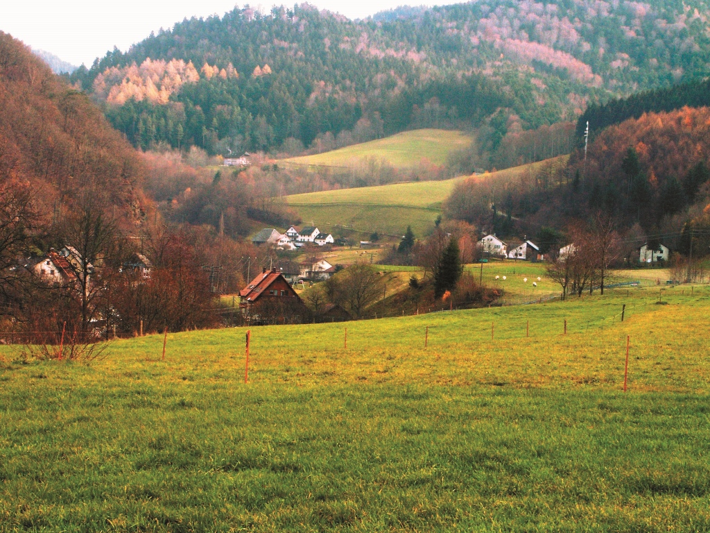 巴登符騰堡邦以森林以及農牧地的鑲嵌地景著名江殷儒攝