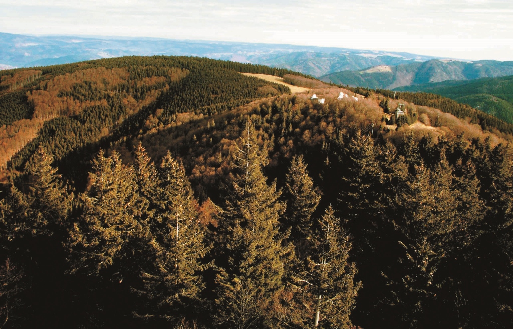 巴登符騰堡邦廣大的黑森林被視為是自然保育的根基以及維繫社會經濟的重心江殷儒攝