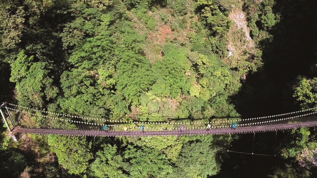 從瓦拉米到抱崖拍攝團隊一路追隨黑熊的腳步進入森林