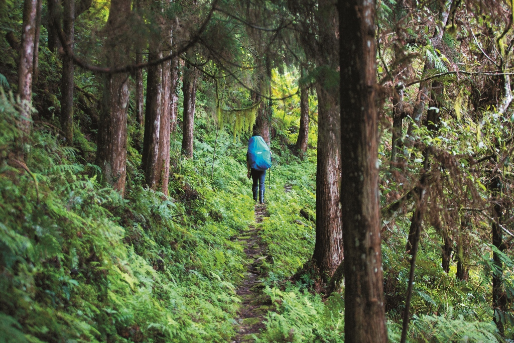 感動於黃美秀老師對黑熊研究的傻勁與堅毅讓李香秀導演邁出決定性的第一步