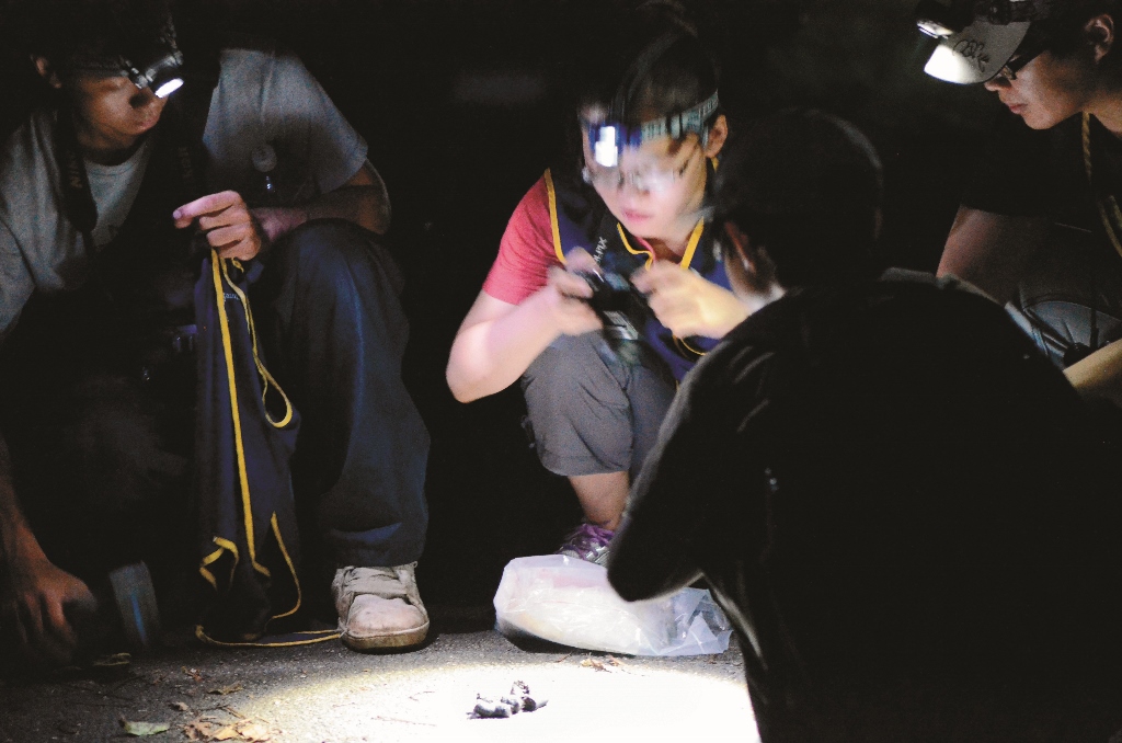 排遺採集是件辛苦活兒但在對的時間發現新鮮排遺總能振奮人心發現麝香貓排遺朱有田提供