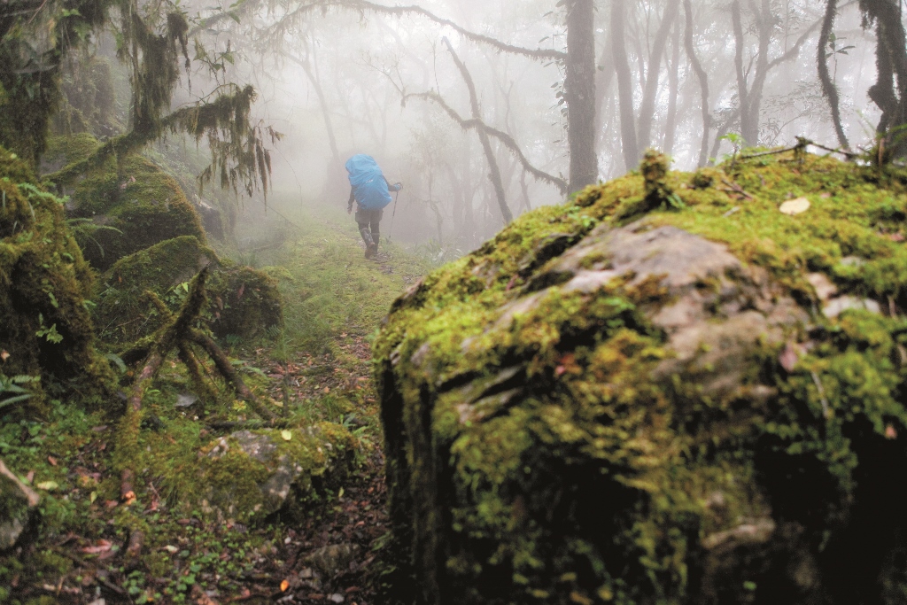 李香秀感謝老天讓她揹著鏡頭進入如迷霧般的有熊國度且在山林庇佑下安然而退