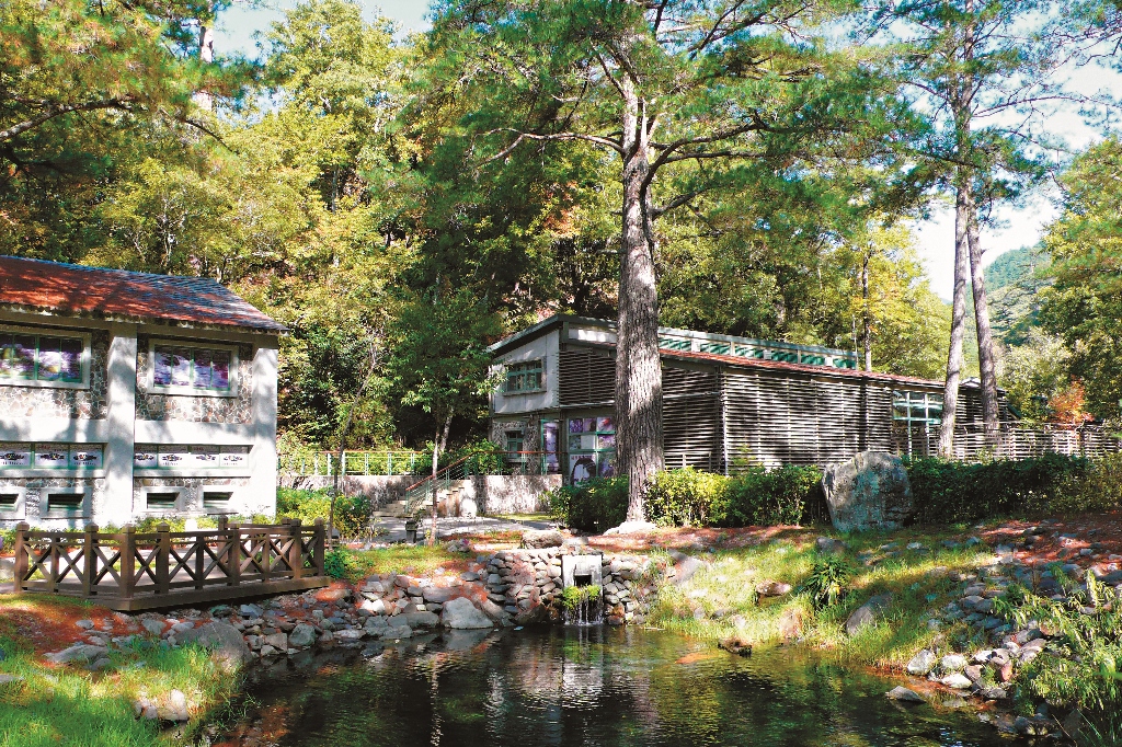 櫻花鉤吻鮭復育中心雪管處提供