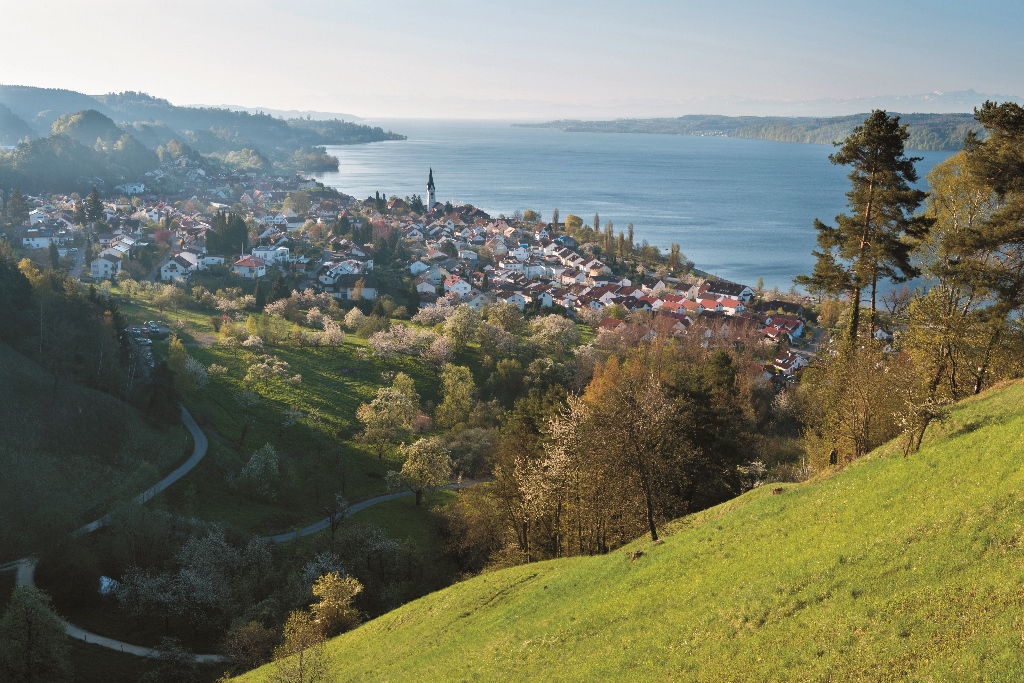 波登湖Bodensee位在德國與瑞士邊界是歐洲候鳥度冬的重要區位達志有限公司提供