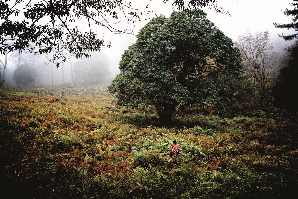 黑熊森林是關於人和人人和動物及人和環境的一個篇章